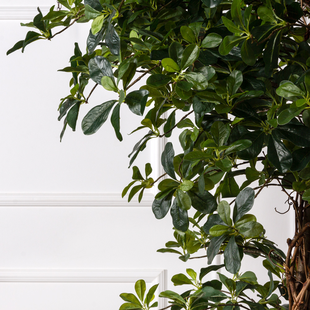 250/ССТ/ПЛ/ВП/84(з) Шеффлера искусственная h250см (латекс)_999