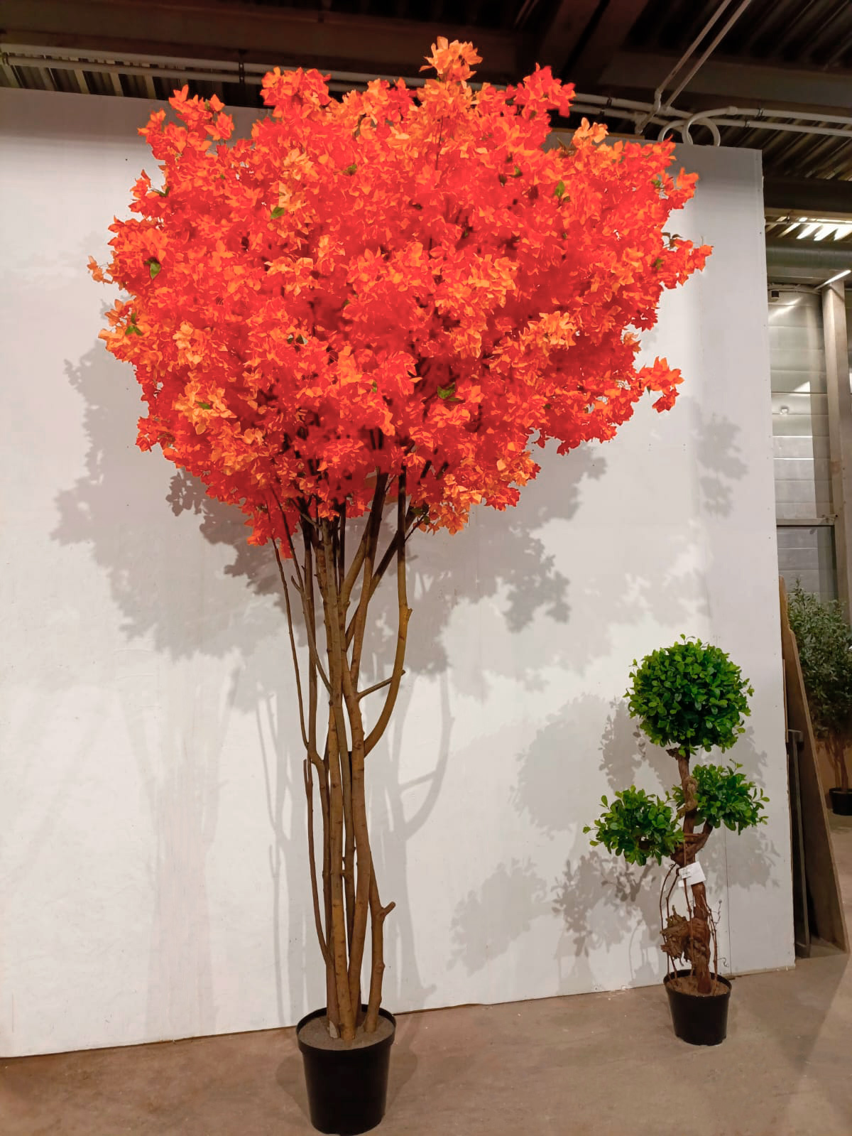 360/РН/434(з/УУ)(F) Бугенвилия искусственная  h360см, оранжевая_3