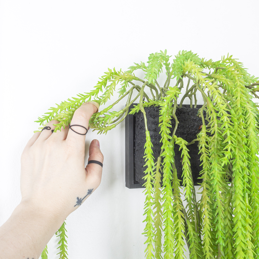 БК 36(Promo) Композиция с крассулой на блоке 15*h10см_8