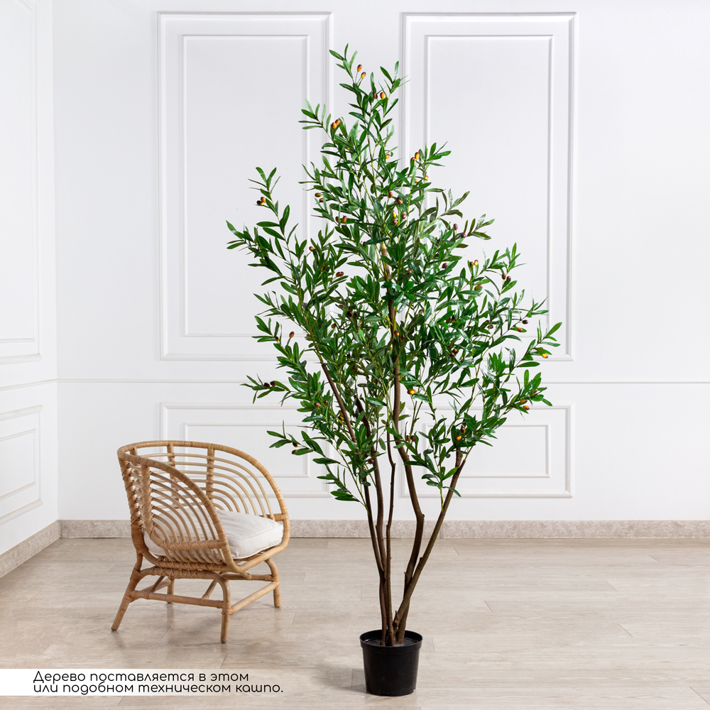 220/РН/АСС/4655(Пр)(F) Оливковое дерево искусственное с плодами  h220см_1