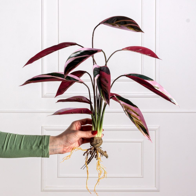 7143/0471-6 Маранта искусственный куст с корнями 12 листов h60см, зелено-розовый_3