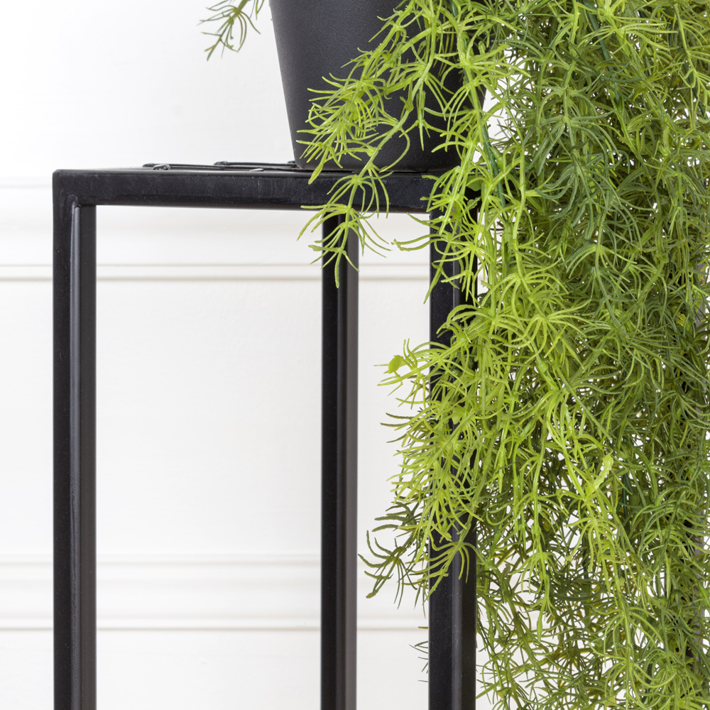 КС85 Аспарагус ампельный в кашпо d11см_9