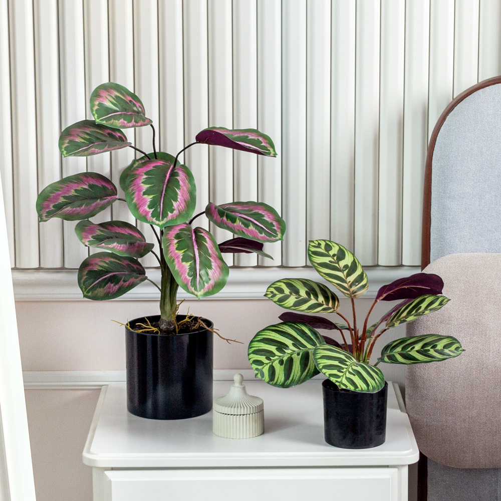 ЦС206 Калатея(F) искусственная зелено-фиолетовая_2