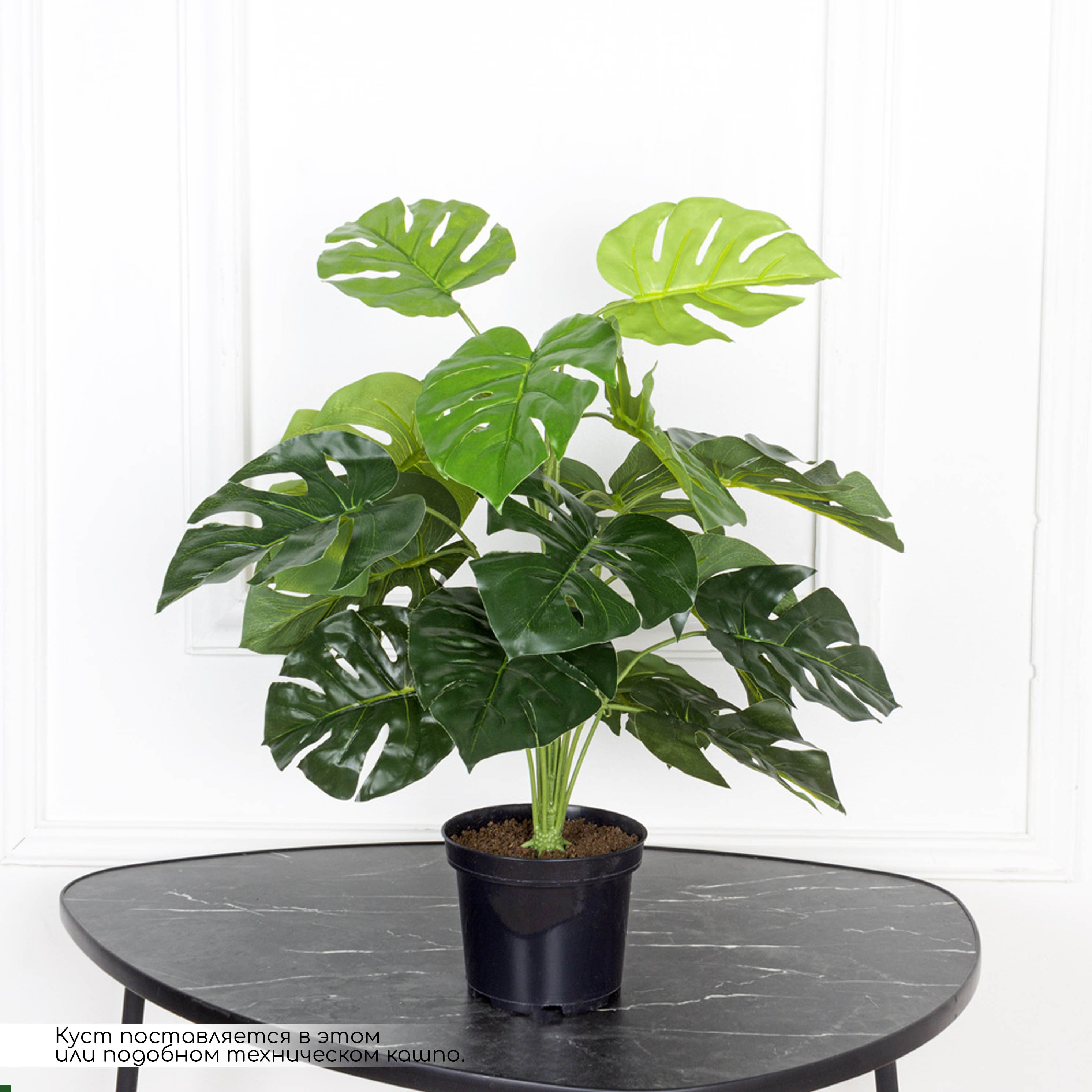 К060/215(F) Монстера искусственная (латекс) в кашпо h60см_2