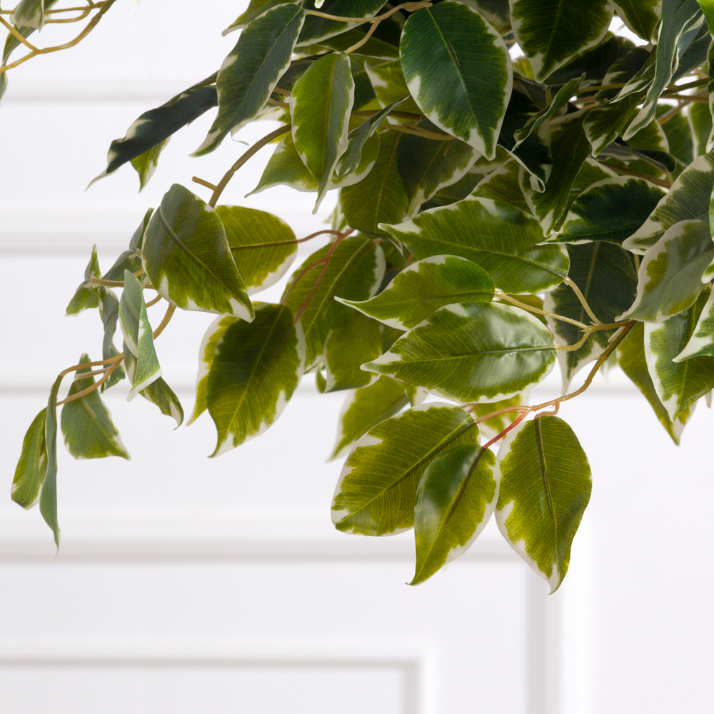 160/3К/17(F) Фикус Бенджамина искусственный h160см (латекс)_3
