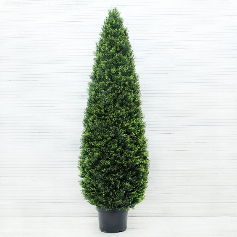 Т210/146(з) Туя-конус 