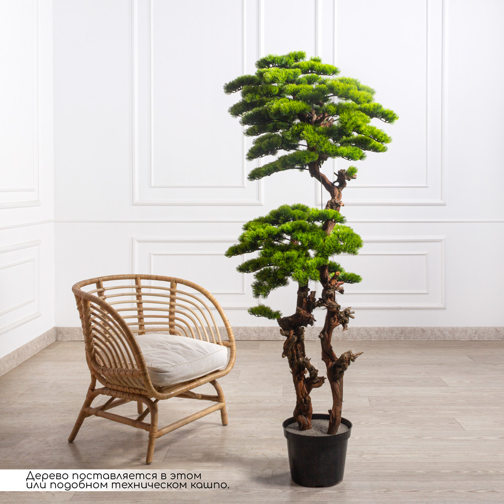 БС175/ОС/30-1(з)(УУ)(Пр)(F) Бонсай искусственный Сосна h175см_2