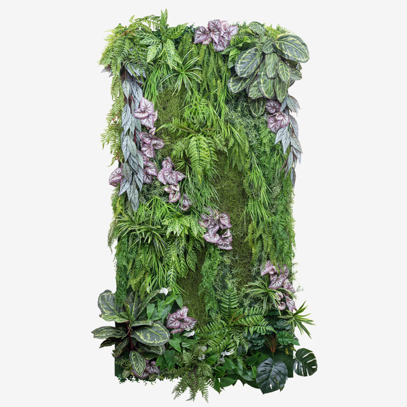 Фитостена 86 с Бегонией