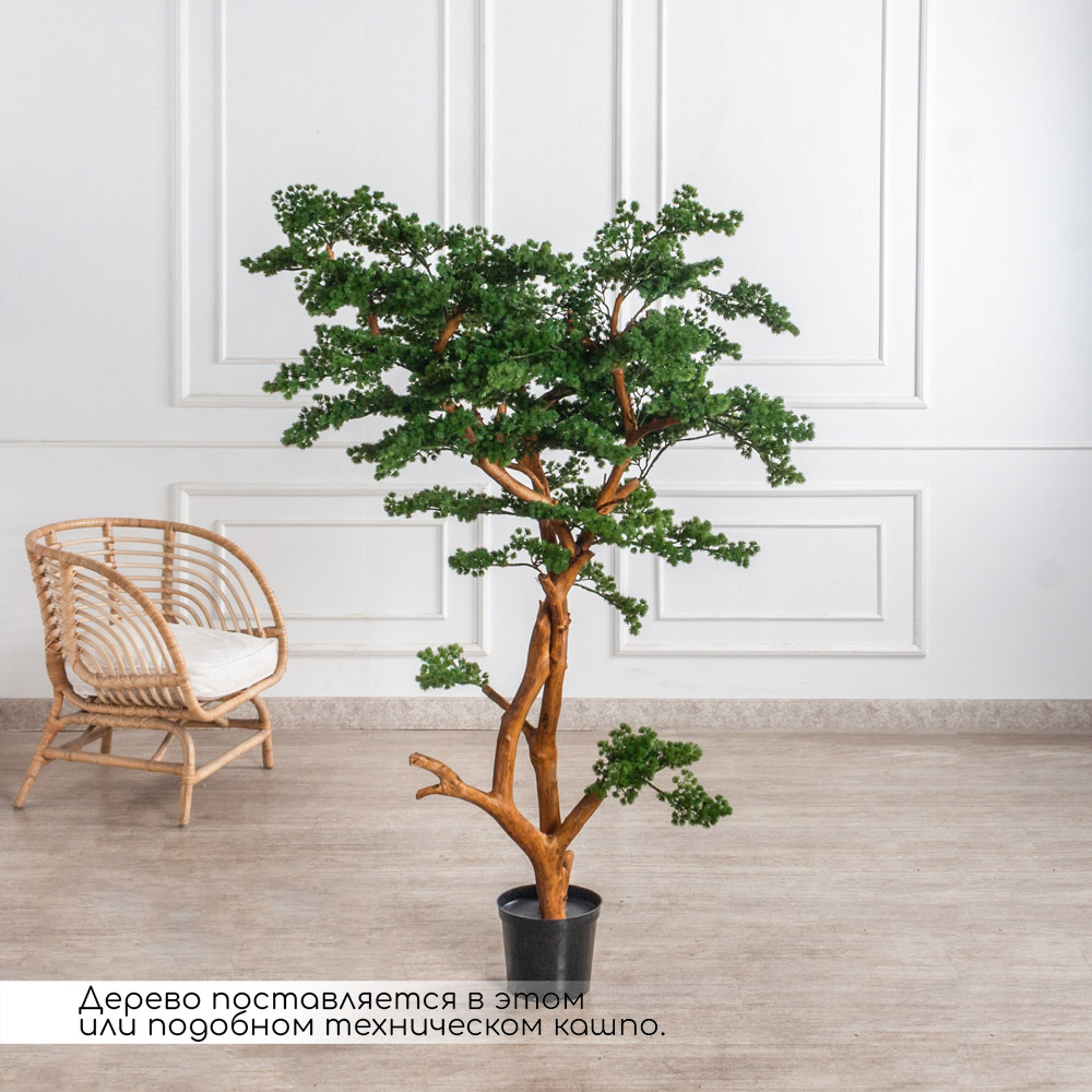 БС165/ДА/427(з)(F) Бонсай искусственный Сосна h165 d120см_3