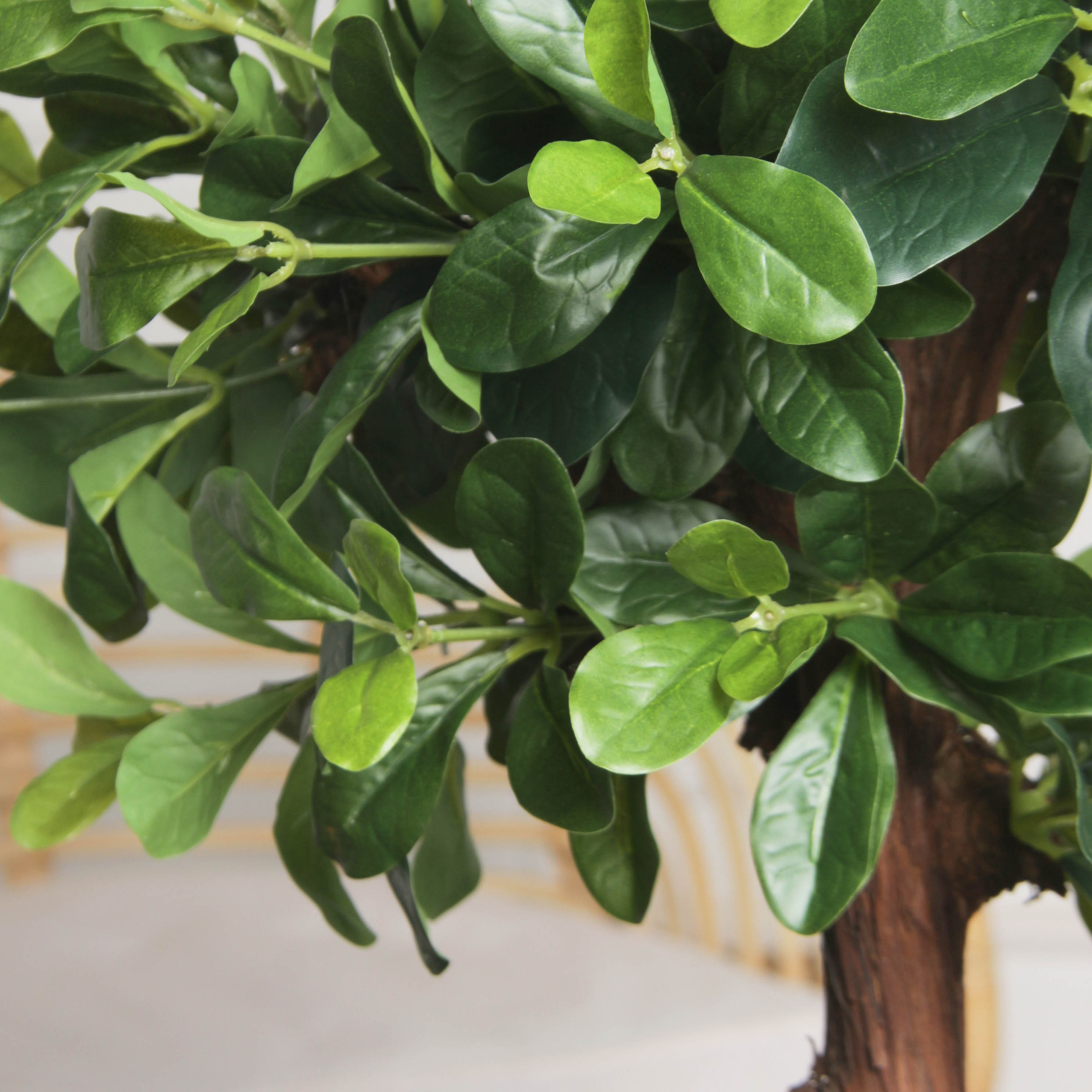 БЛ050/3К/204(F) Бонсай искусственный Питтоспорум h50см (латекс)_2