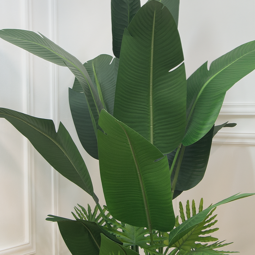 К180/360(з.) Куст банан с филодендроном h180см в кашпо d49см_2