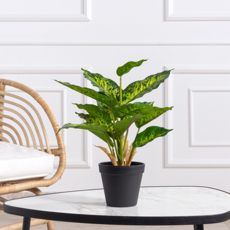 ЦС165-1(F) Калатея искусственная пёстрая в кашпо d11см