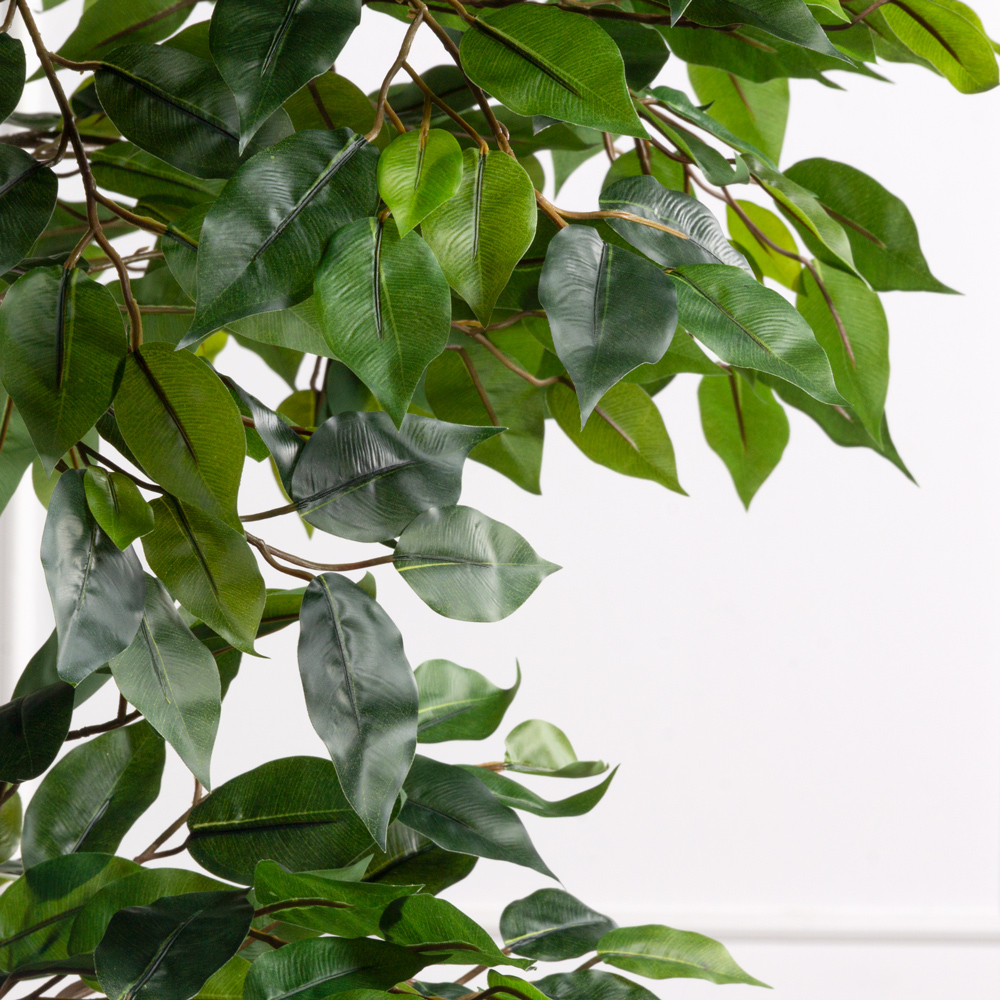 220/РУ/34(з)(F) Фикус искусственный разноуровневый h220см (латекс)_3