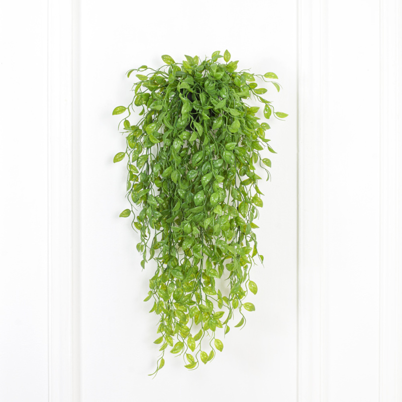 КС95 Традесканция Веридос ампельная в кашпо_6