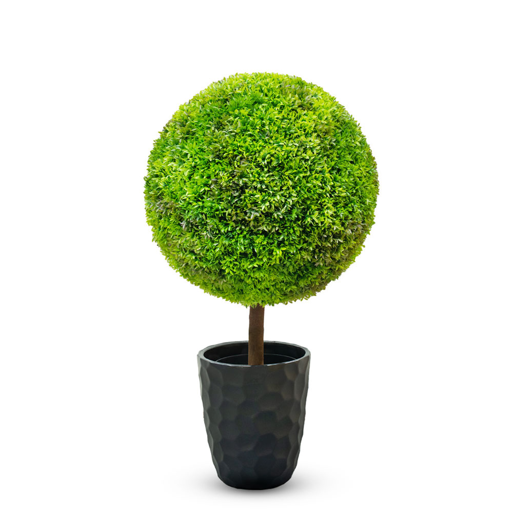 СШ70/423(М)(Promo) Самшит шар d70см в d26см_4