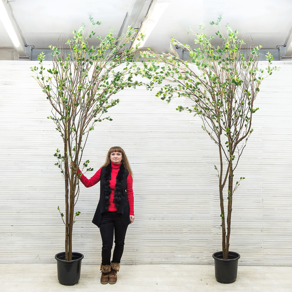 300/РН/172-1(з.)_2