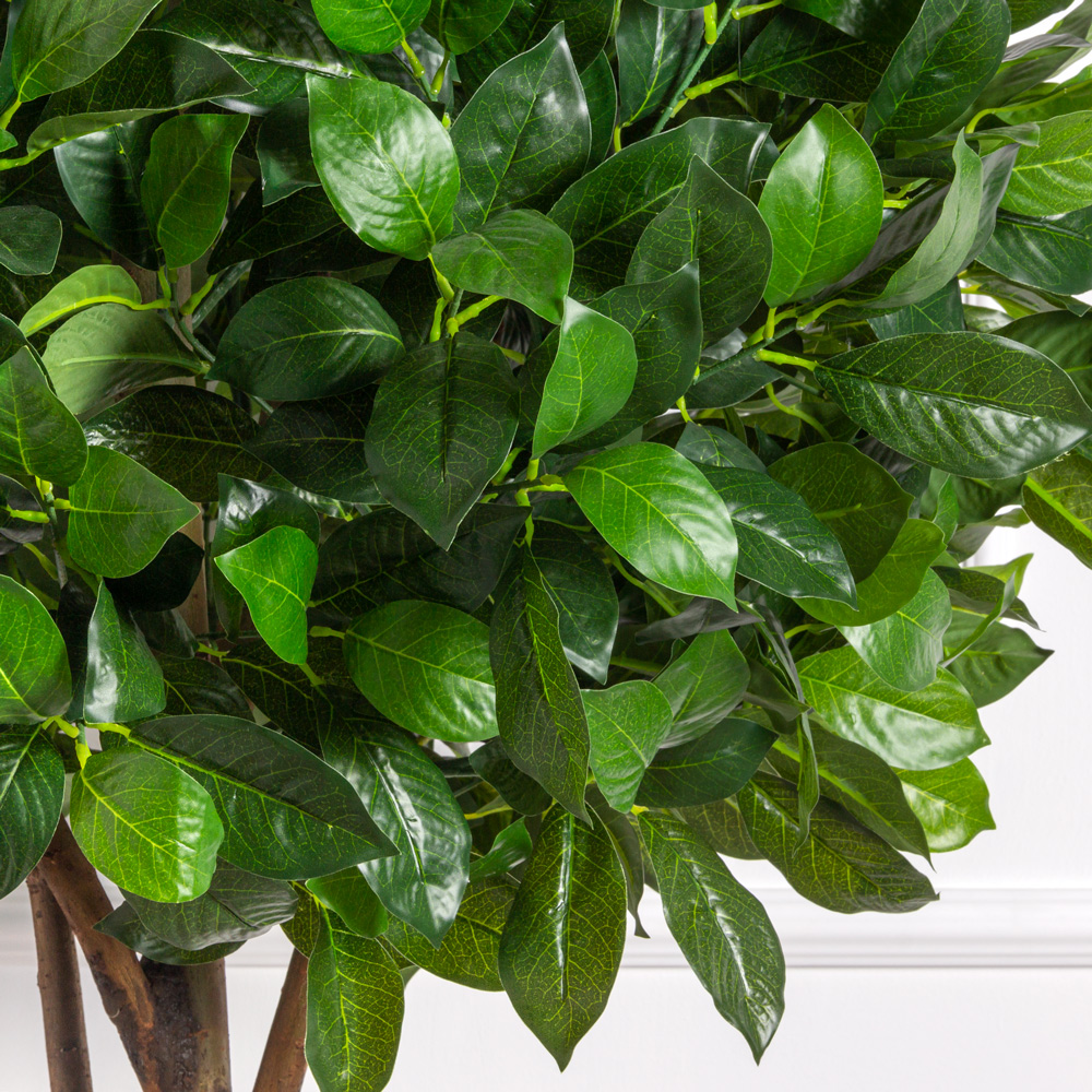 180/Ш/188-3(з) Лавр искусственный h180см (латекс)_2