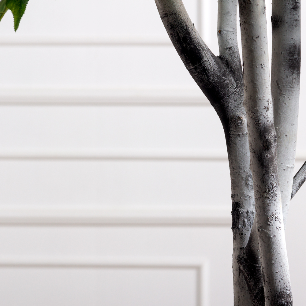 300/РН/122(з)(F) Береза искусственная h300см (латекс)_3