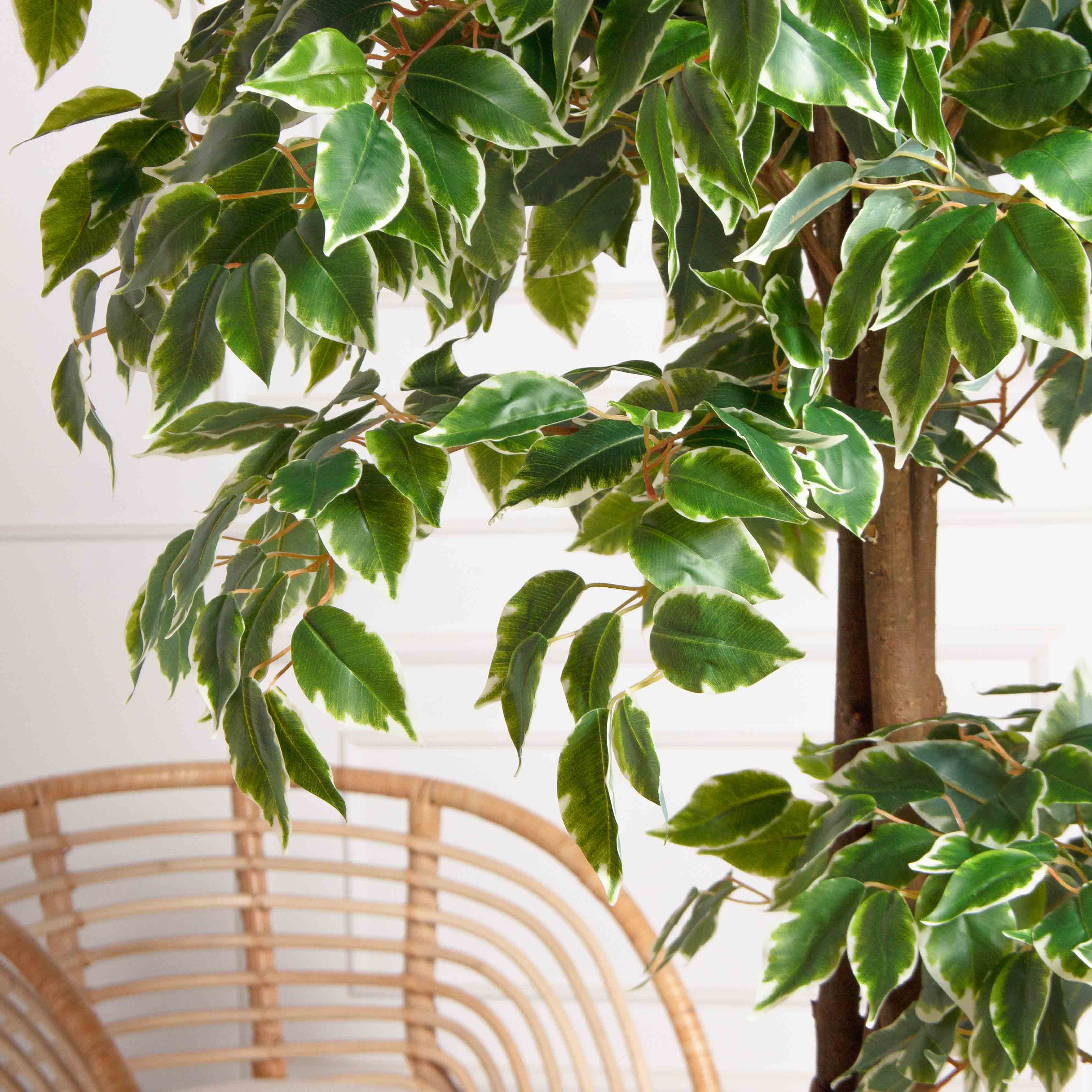 160/2К/17(Пр)(F) Фикус Бенджамина искусственный h160см (латекс)_5