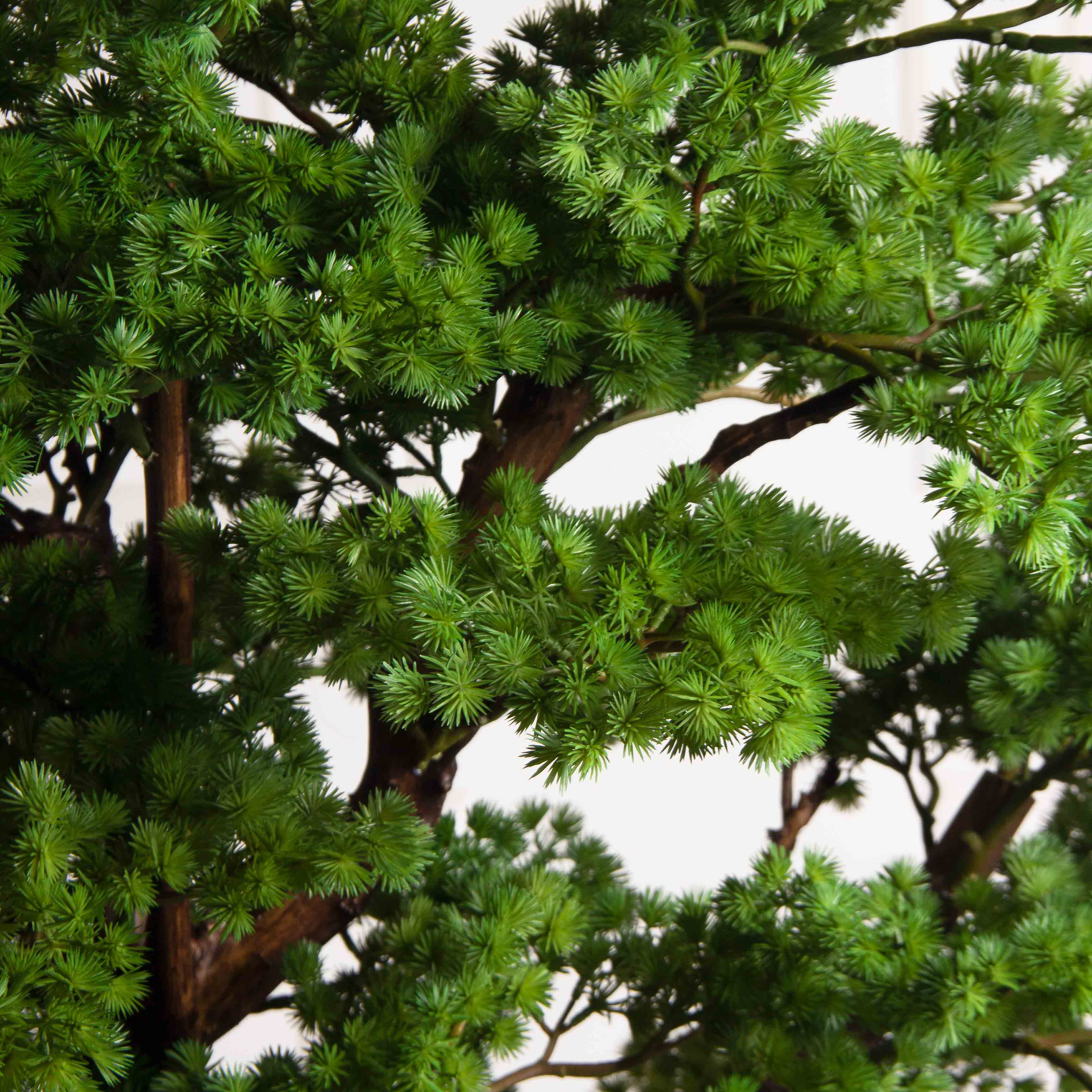 БС110/ДА/427(з)(F) Бонсай искусственный Сосна h110см_7