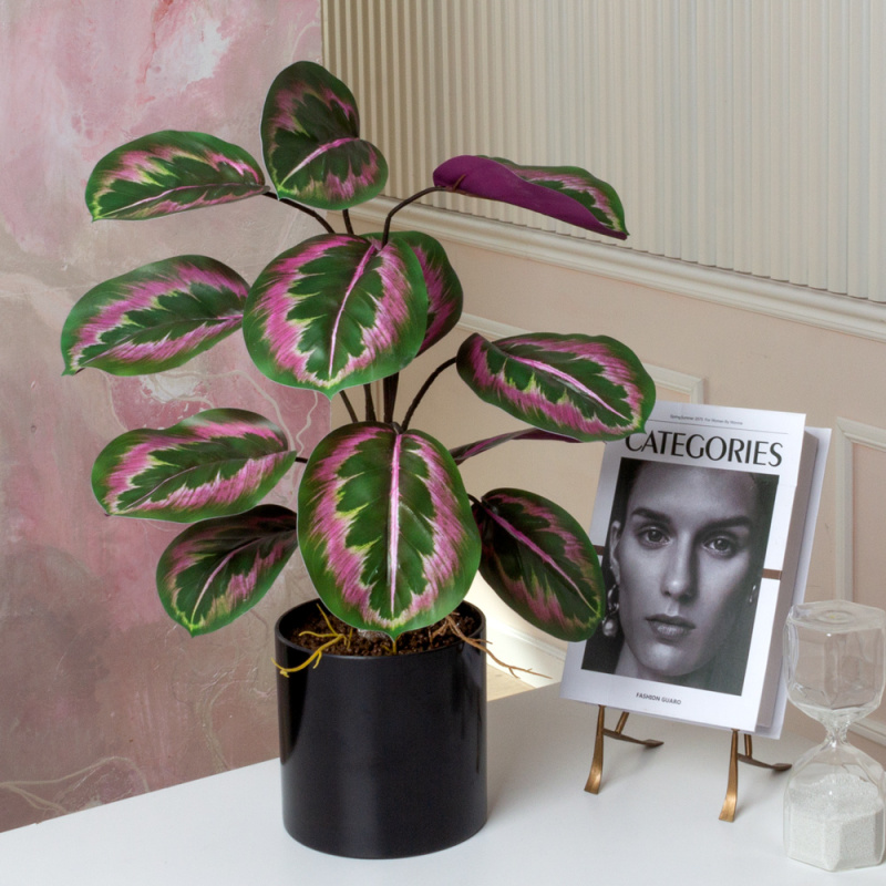 ЦС214(F) Калатея искусственная зелёно-фиолетовая