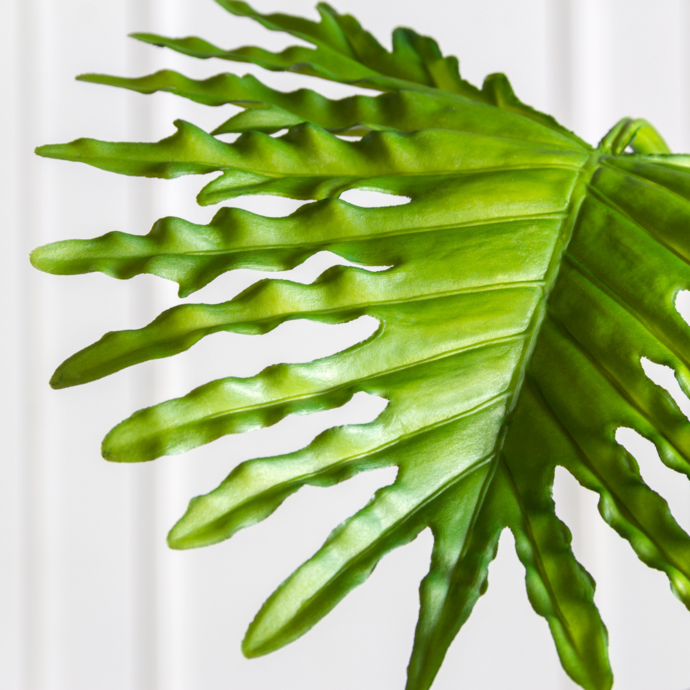 БК08(F) Композиция с филодендроном на блоке 15*h10см_3