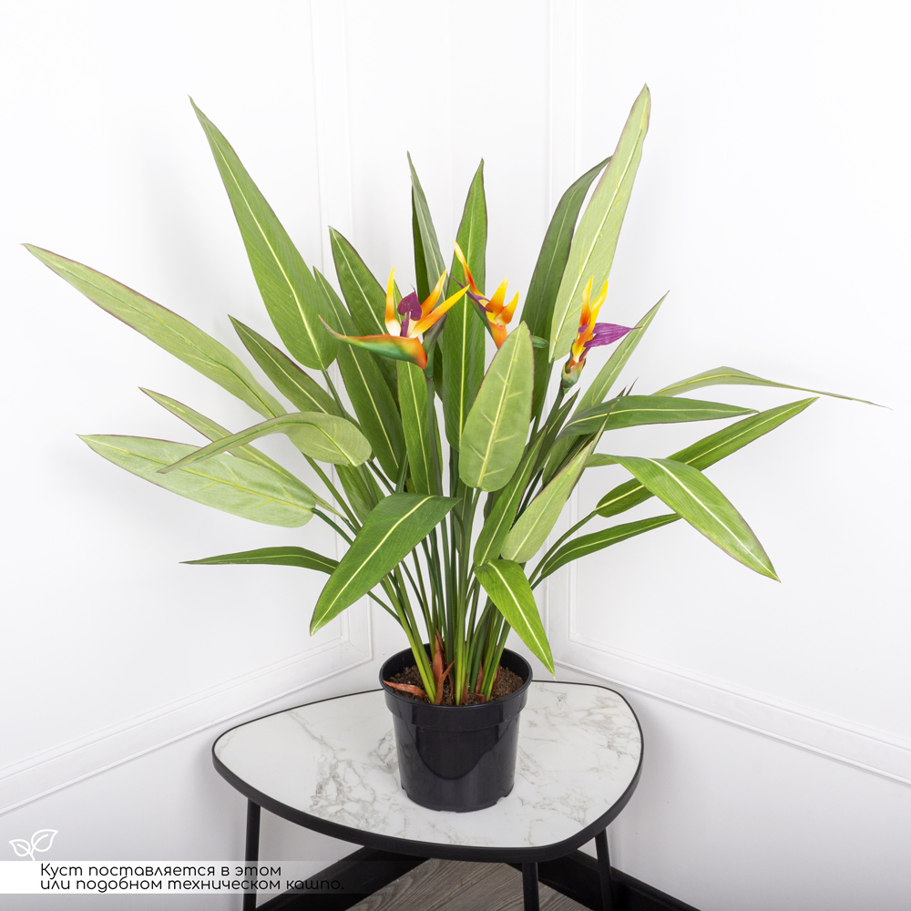 К075*6-1(Promo) Стрелиция искусственная куст с цветами большой h75см в кашпо d19см_3