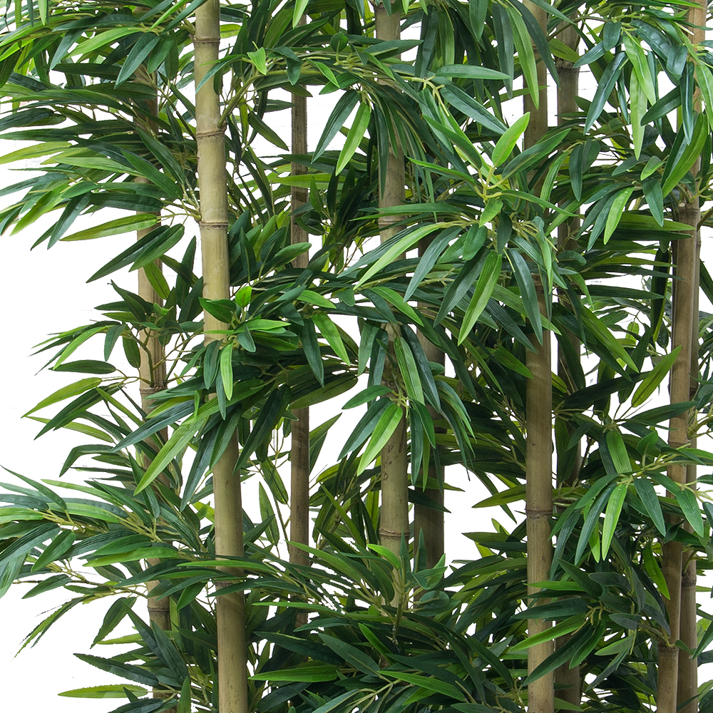 Ш250/75 Ширма бамбук h250 в кокосовом боксе 65*15*h20_2