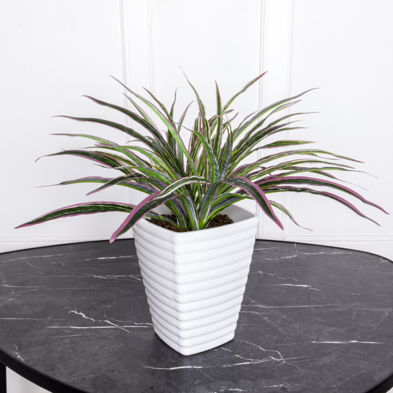 К277(з) Драцена (d-30 h-25) в ребристом кашпо(13.5*13.5*16_3