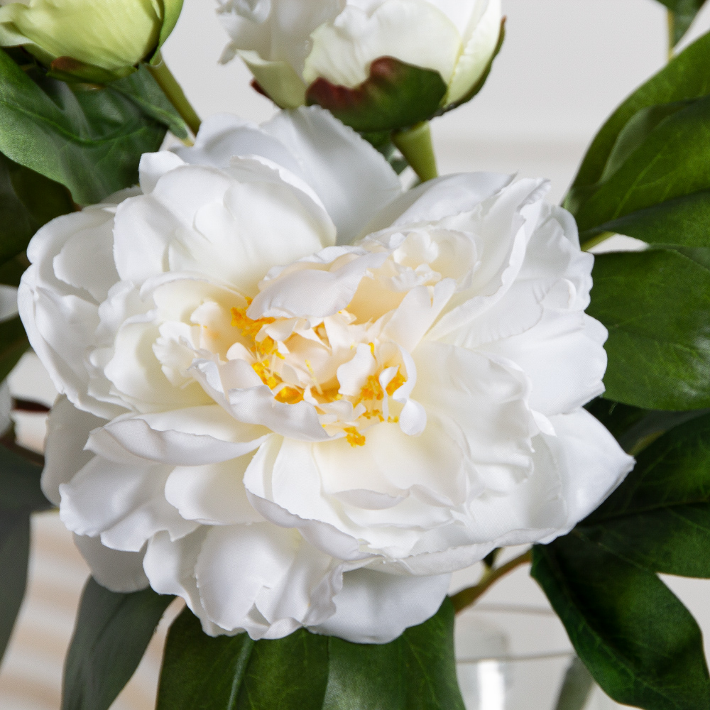 7141А/9122-0349/23(F) Пион искусственный h67см 1голова 2бутона,белый_4