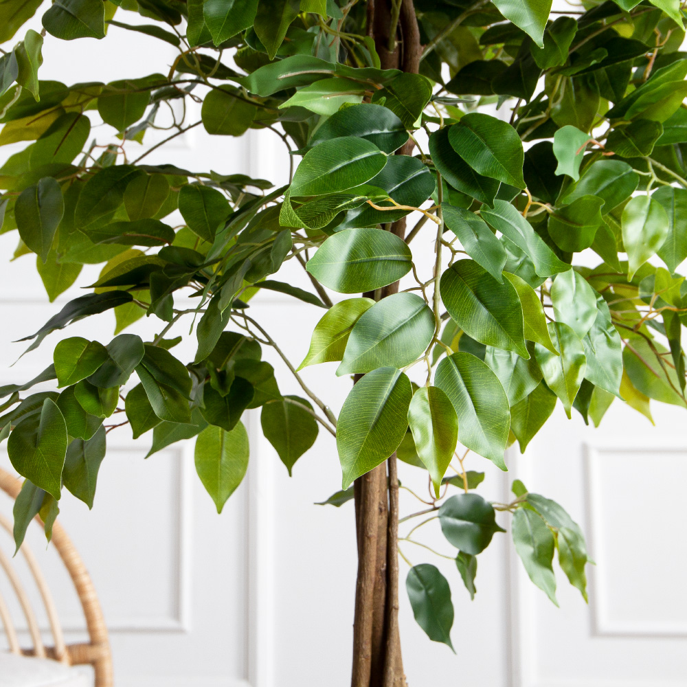 180/РН/ЭК/345(Пр)(F) Фикус искусственный h180см,(латекс)_6