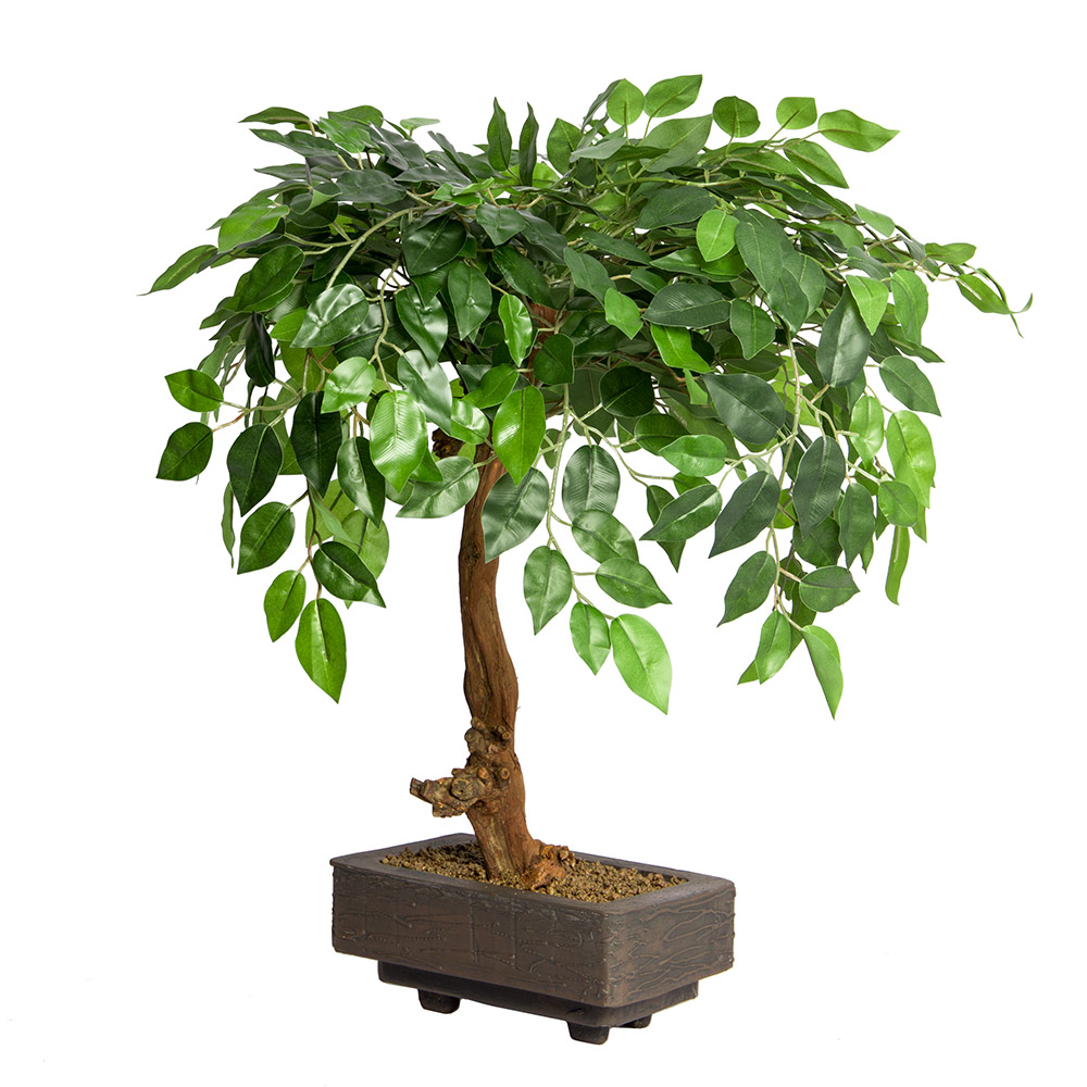 БЛ 55/09М-1(з.)_2_