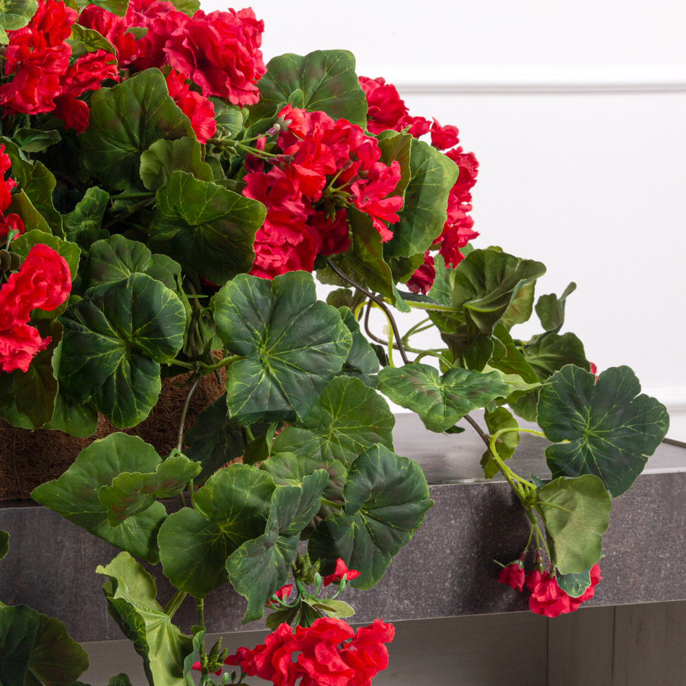 ТД128/1(з) Композиция искусственная с ампельной пеларгонией в кокосовом боксе 75х20хh10см_2