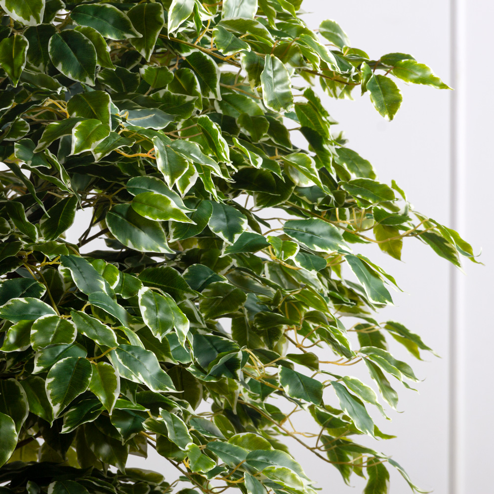 240/ССТК/466(F) Фикус Бенджамина искусственный h240см_2