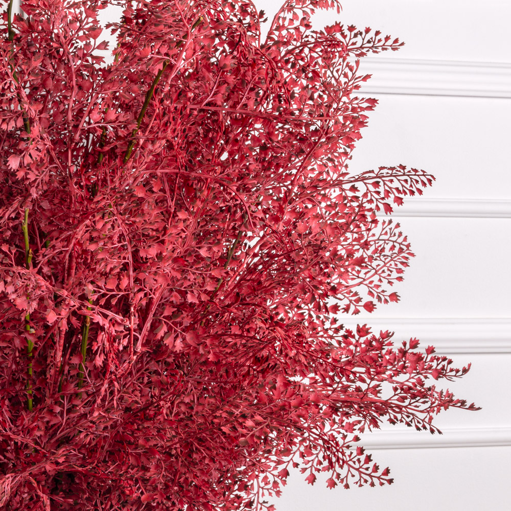 070/РН/488(з) Альбиция искусственная интерьерная h70см, бордовая_7