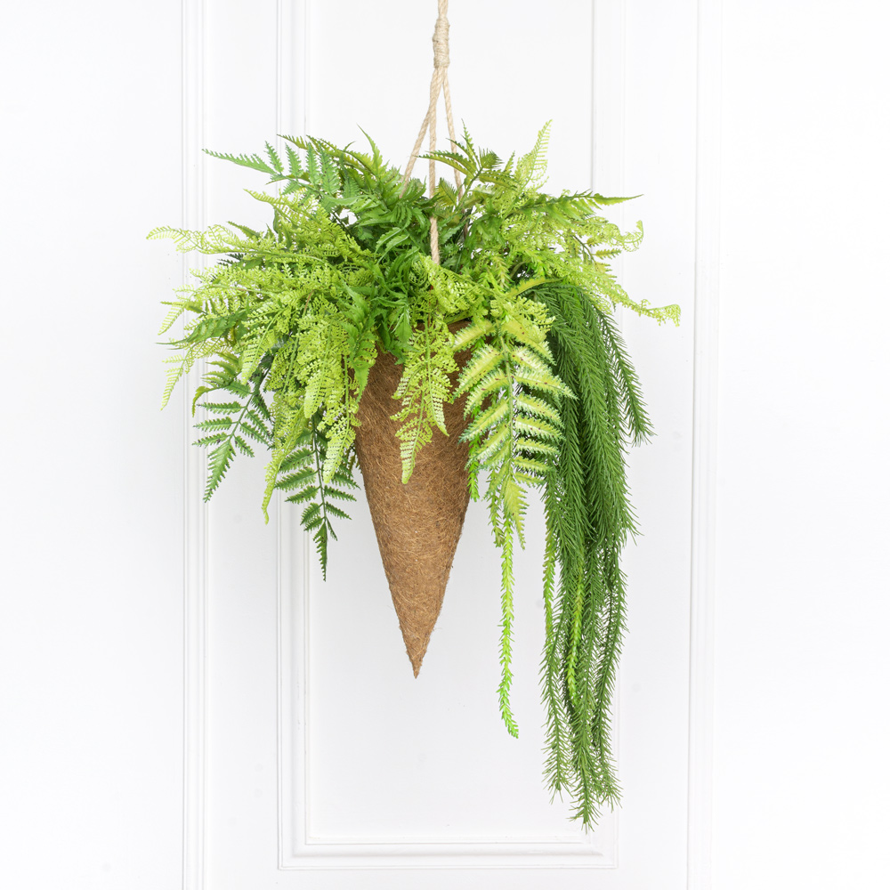 КОН01 Папоротник с зеленью h30см в кокосовом конусе d20смh39см)_4