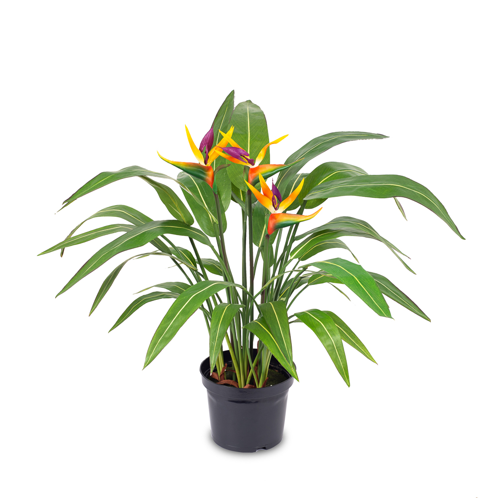 К75*6-1 Стрелиция куст с цветами большой h-75см (силикон/латекс)   в кашпо d-19