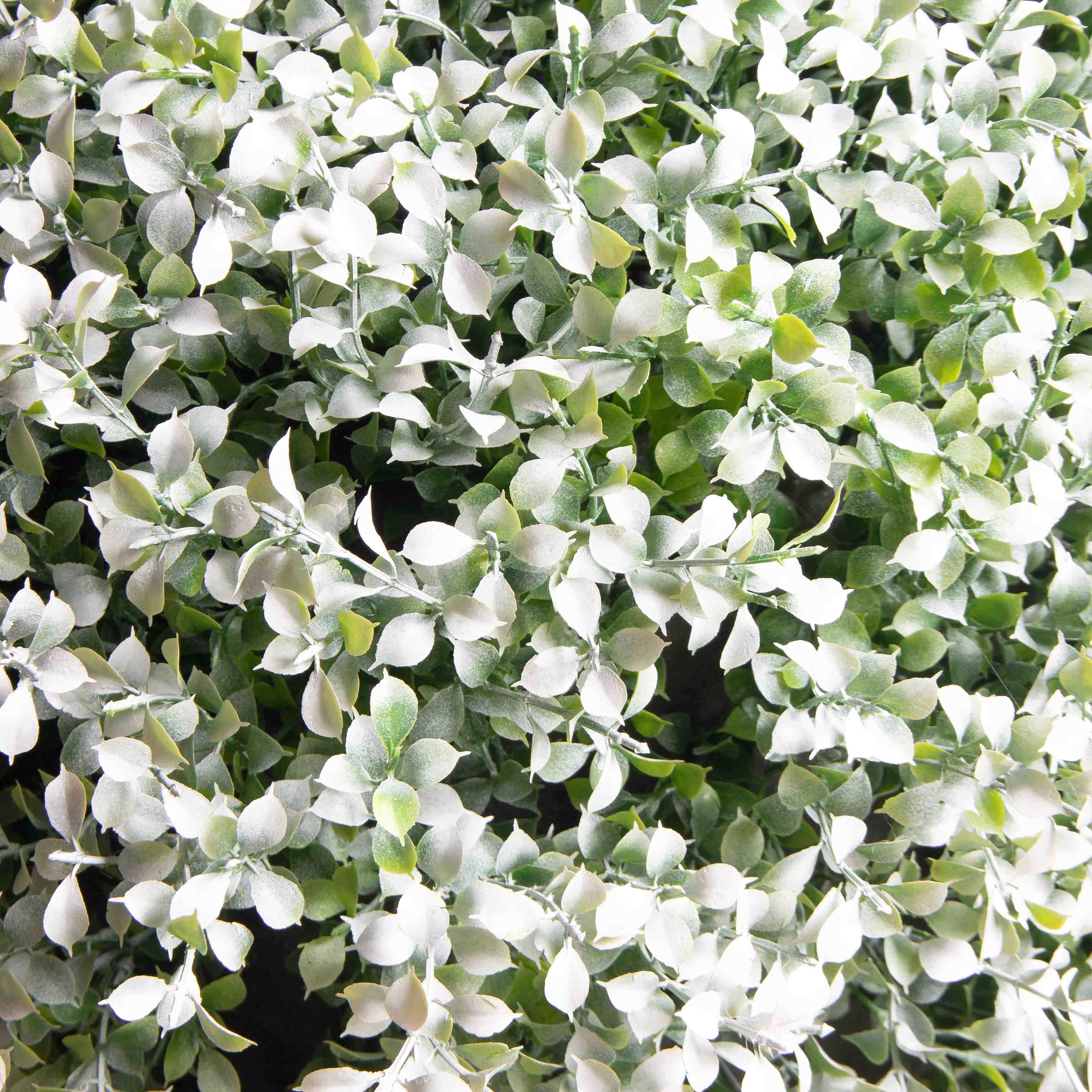 СШ120/229-1(F) Самшит-шар Премиум (с патиной)_3