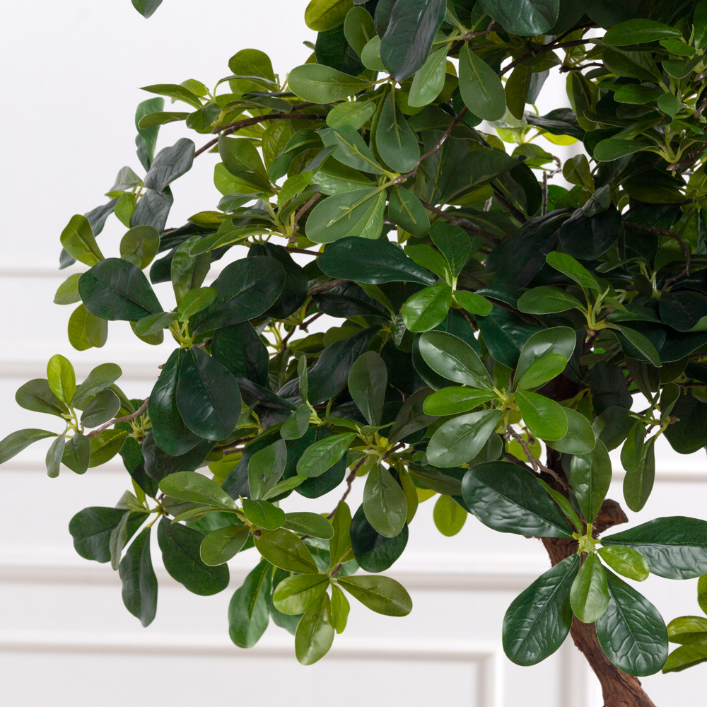 180/3К/ОС/ВП/84(з)(Пр)(F) Шеффлера искусственная h180см (латекс) _4