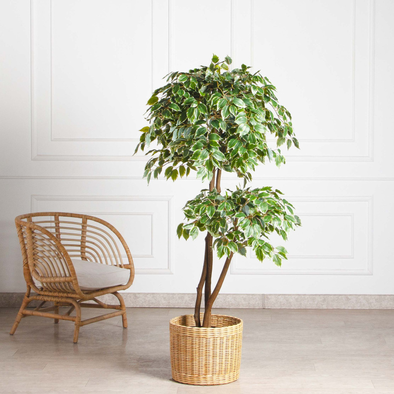 160/2К/17(Пр)(F) Фикус Бенджамина искусственный h160см (латекс)_1