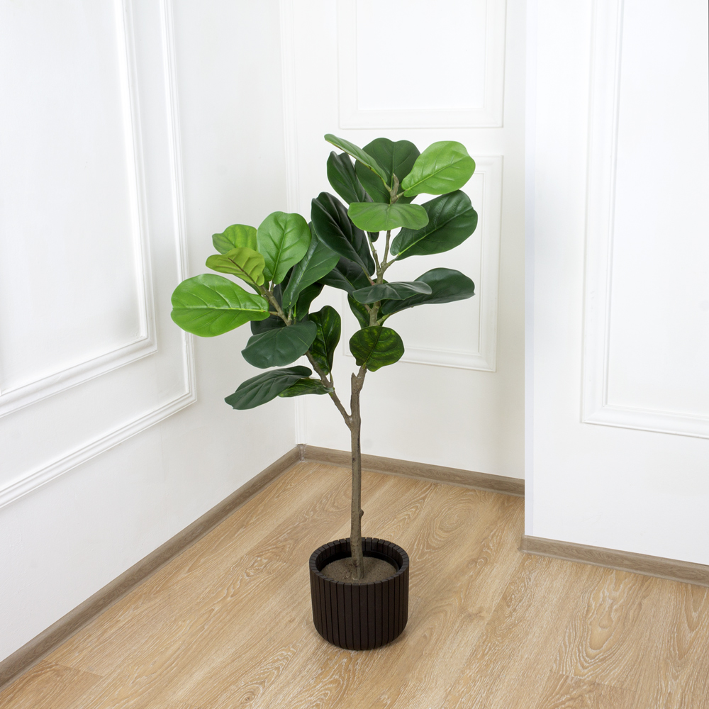 120/К/428(Х)(Fix) Фикус Лирата h120см_7