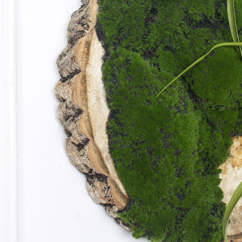 БК140/2 Композиция на березовом спиле d48-50см_8