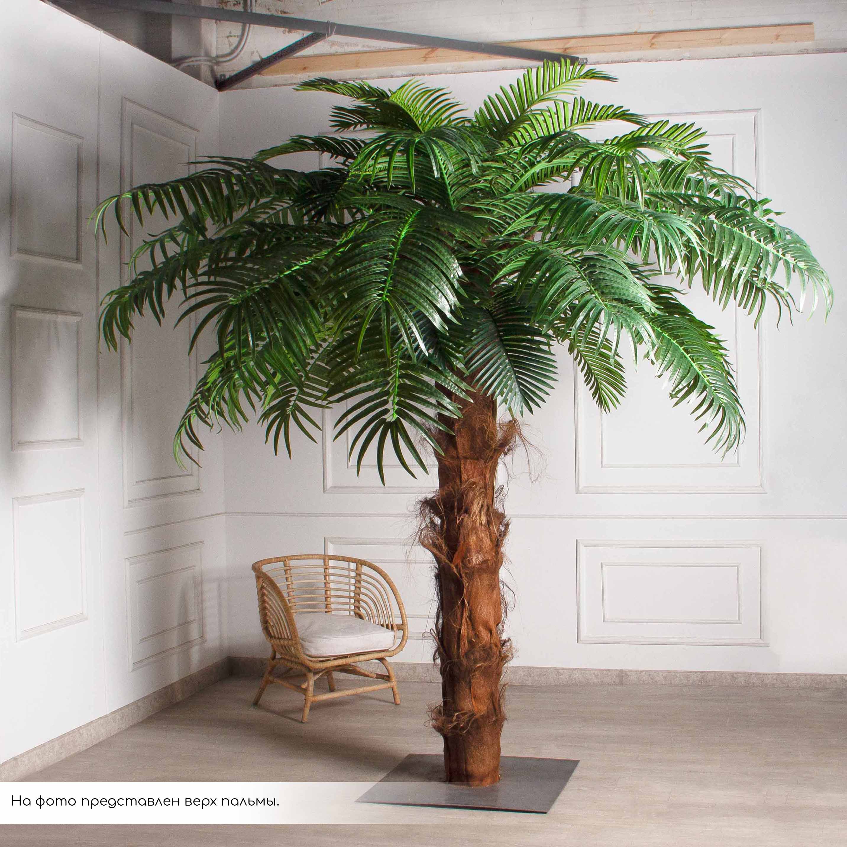 ПС500Разб/ТР/49Прем(F) Пальма Арека искусственная h500см на мет.основании_8
