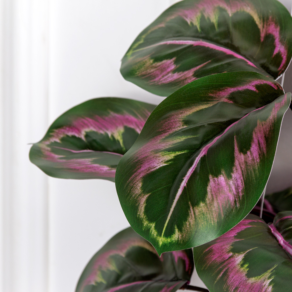 ККД57/214(з)(F) Кокедама искусственная с калатеей d10см, зелено-фиолетовый_2