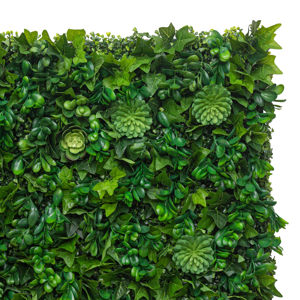 Фитостена 83/2(з.) с зел.суккулент. и чернич._2