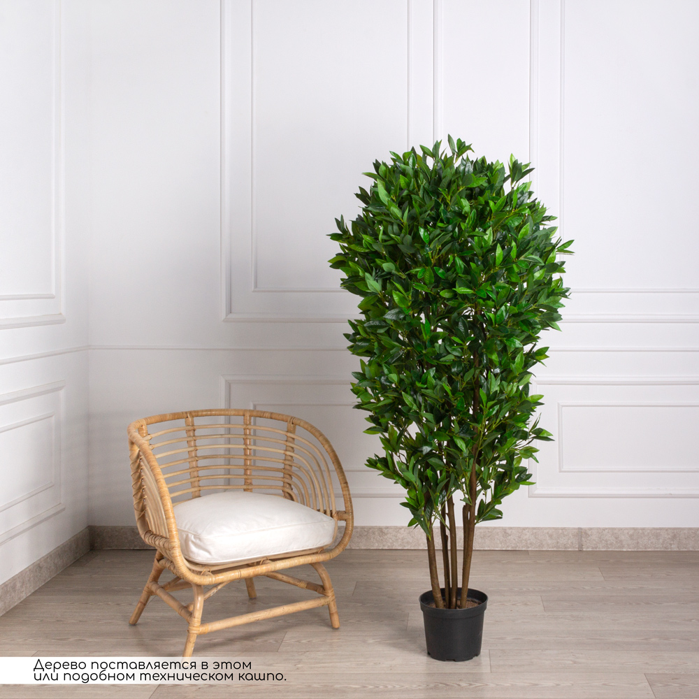 170/РН/188(з) Лавр искусственный h170см (латекс)_1