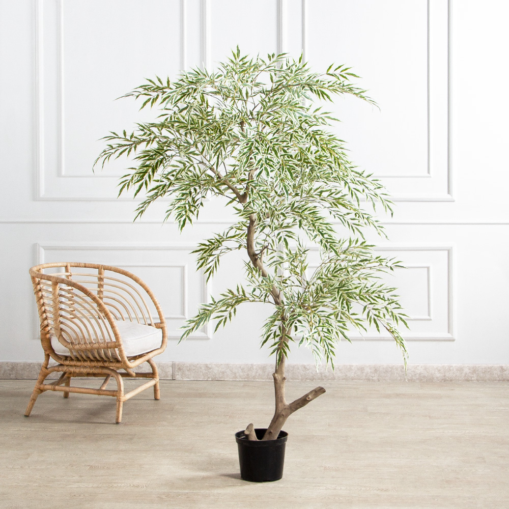 170/РН/АСС/701(Пр)(F) Магония искусственная h170см,зелено-белая,(латекс)_3