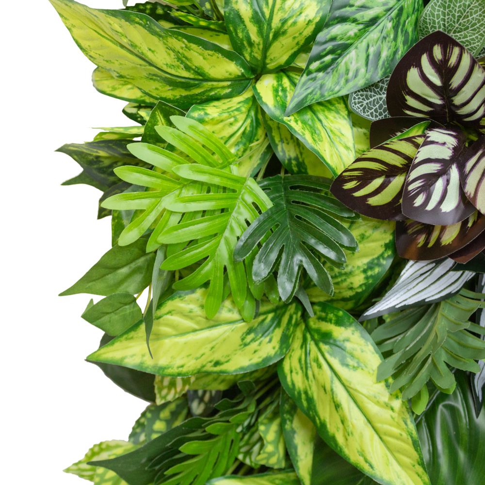 Фитостена 109_6