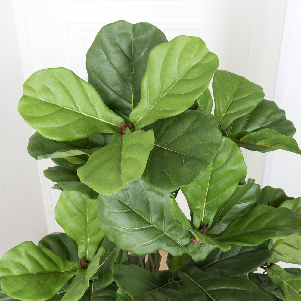 130/477(МТ) Фикус искусственный Лирата h130см_2