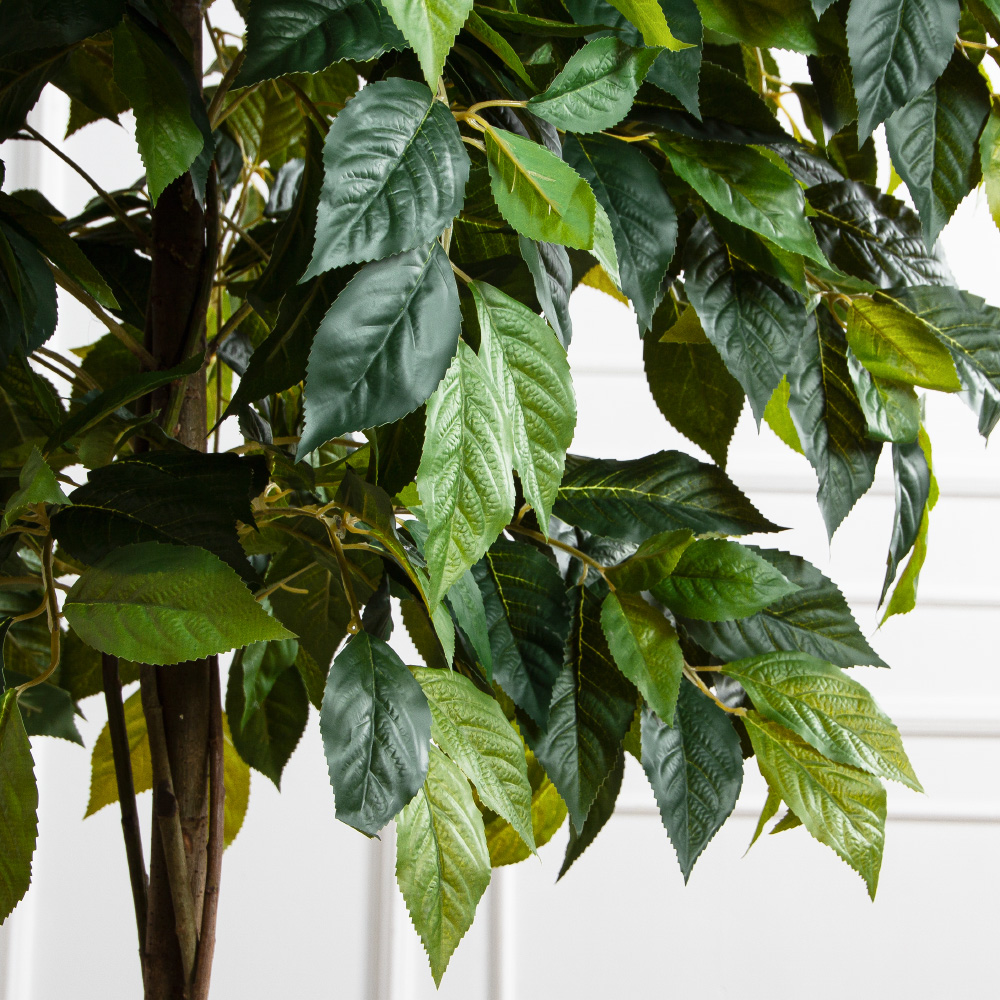 180/РН/537(FixS)(Пр)(F) Азимина искусственная h250см, (латекс)_6